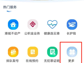 连云港市养老待遇发放怎么查询？