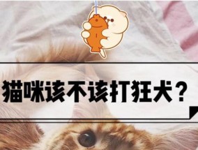 猫咪一定要打狂犬疫苗吗?