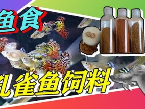 孔雀鱼喂什么长的快，喂什么饲料好