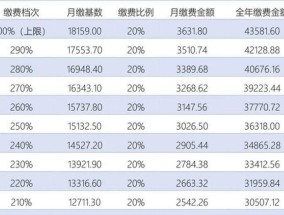 邢台灵活就业养老保险缴费标准是什么？