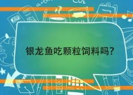 银龙鱼不吃颗粒饲料怎么办，吃上浮饲料还是下沉饲料