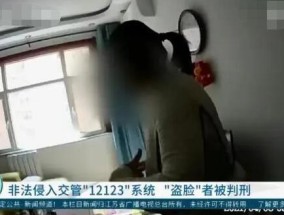 黄牛入侵交管12123系统获刑 背后真相实在让人惊愕