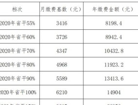 济宁灵活就业人员养老保险缴费标准是什么？