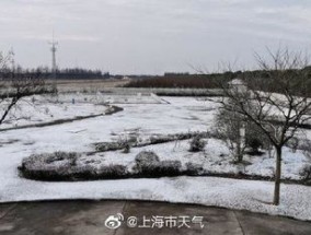 2024年一月份的上海会下雪吗