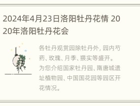 2024年4月23日洛阳牡丹花情 2020年洛阳牡丹花会