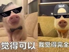 男友突然对自己骂脏话很多怎么回事 男朋友骂脏话还爱你吗