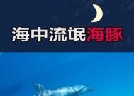 海豚被称为海中流氓吗，为什么说海豚是海中流氓