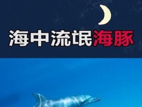 海豚被称为海中流氓吗，为什么说海豚是海中流氓