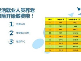 邢台灵活就业养老保险缴费时间是什么时候？