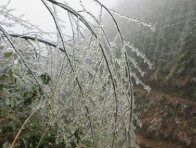 霜冻是怎么形成的？霜冻一般出现在夜里几点