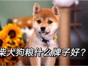 柴犬吃什么品牌的狗粮好