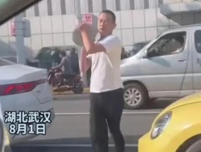 孕妇开车遭路怒男子强行别停砸车 内幕曝光简直太意外了