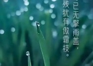 2023年寒露节气是几月几日