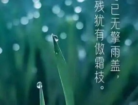 2023年寒露节气过后还热吗