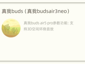 真我buds（真我budsair3neo）