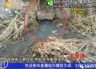 鱼池鱼死了用什么消毒最好，为什么会死鱼