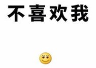 形容笑的开心成语四个字