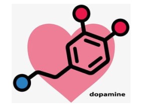 爱情和多巴胺的关系是什么呢？爱情是多巴胺的产物吗