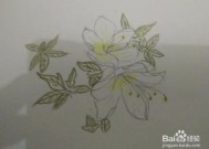 简笔画报花名：手绘铅笔画“白杜鹃花”画法