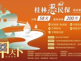 2024年度桂林惠民保是什么