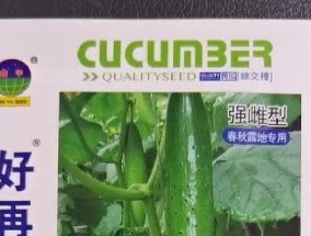 黄瓜品种有哪些