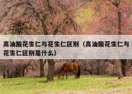 高油酸花生仁与花生仁区别（高油酸花生仁与花生仁区别是什么）