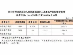 2024上半年保定清苑区灵活就业医保缴费时间+流程是什么时候？