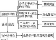 生物多样性有哪三方面的层次?