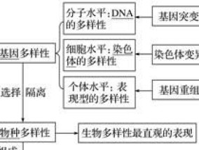 生物多样性有哪三方面的层次?