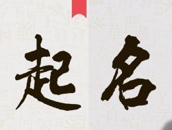 寓意生命力旺盛的名字（寓意生命力旺盛的一个字）