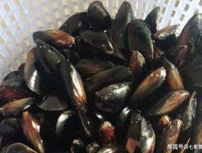 海虹为什么一串一串的，是海里还是河里的