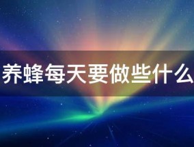 养蜂每天要做些什么（养蜂第一步应该做什么）