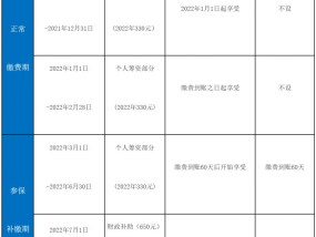 不纳入漳州城乡医保险支付范围有什么