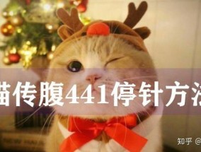 猫传腹打441针多久好呢