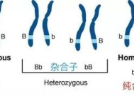 什么叫稳定遗传