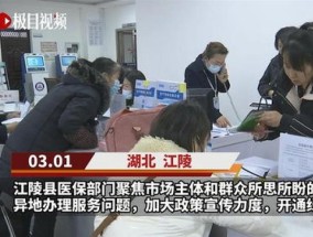 荆州江陵县医保局办理业务汇总