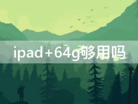 ipad 64g够用吗