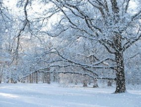 冬至在前还是大雪在前 冬至和大雪哪个在前面