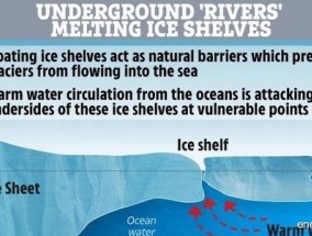 新研究：南极西部冰架融化加剧“不可避免” 要如何应对呢
