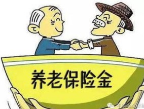 运城机关事业单位参保人员退休养老金缴纳年限不足怎么办