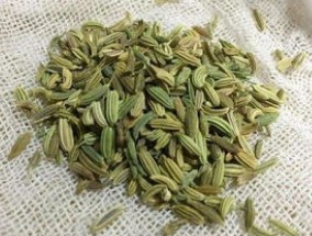 小茴香有什么营养价值 小茴香有哪些食用禁忌