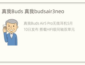 真我Buds 真我budsair3neo