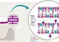 玻色因骗局怎么回事 玻色因使用禁忌有哪些