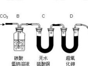 二氧化碳的用途 二氧化碳能够干什么