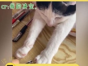 猫咪的指甲为什么会劈开