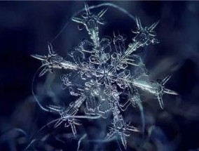 雪花都有哪些形状 雪花的各种形状介绍