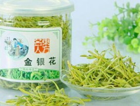 金银花茶怎么泡，可以天天喝吗