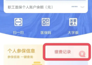 衡阳医保缴费记录如何查?