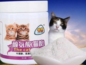 猫鼻子总是不通气似的是怎么回事