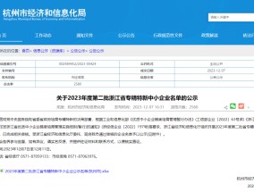 喜报！初灵股份·企业智能入选2023年浙江省专精特新中小企业